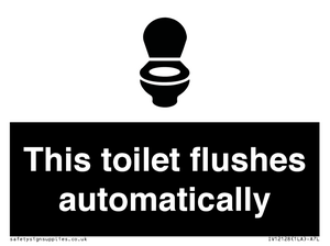 This toilet flushes automatically